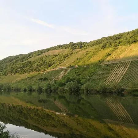 Zur Weinfee * ブリーデル