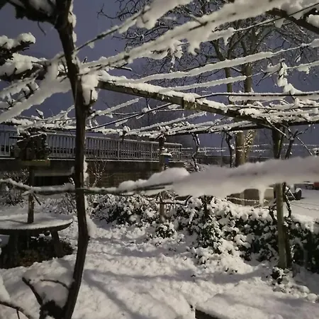 Zur Weinfee 別荘 *