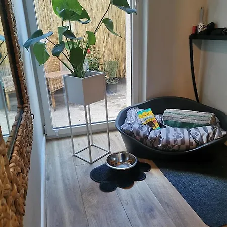 Zur Weinfee Hébergement de vacances Briedel