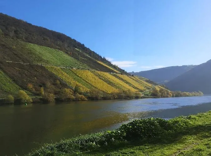 Zur Weinfee * ברידל