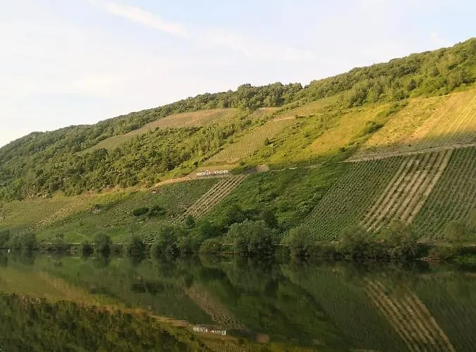 Zur Weinfee * 브리에델