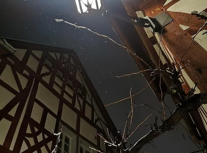 Casa vacanze Zur Weinfee *