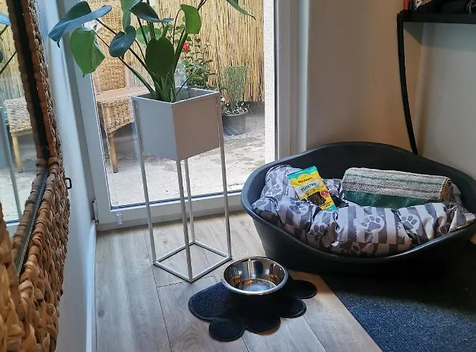 Zur Weinfee Casa vacanze Briedel